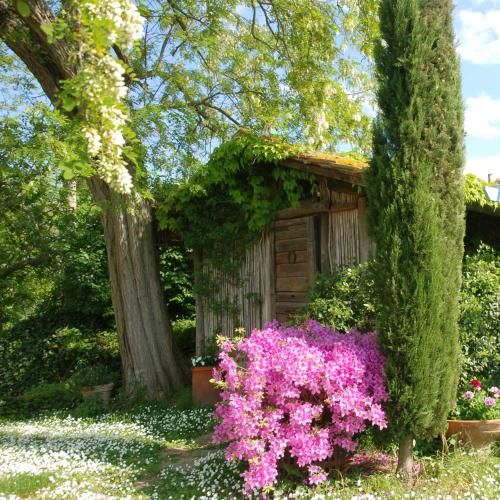 Outdoor Pictures 10