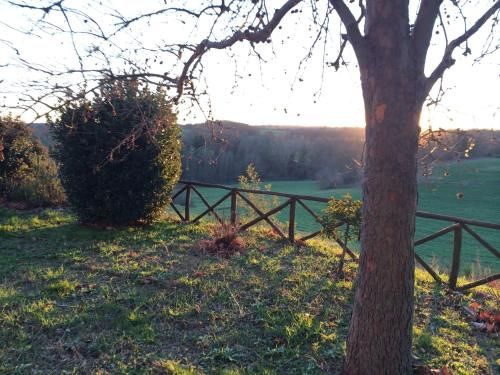 Outdoor Pictures 10