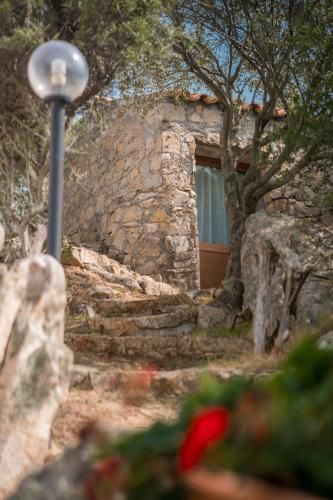 Outdoor Pictures 21