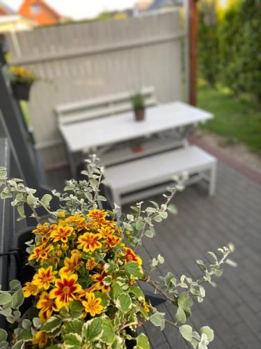 Outdoor Pictures 6
