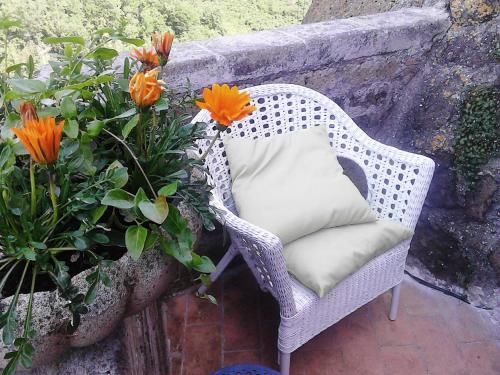 Outdoor Pictures 9