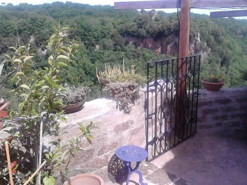 Outdoor Pictures 19