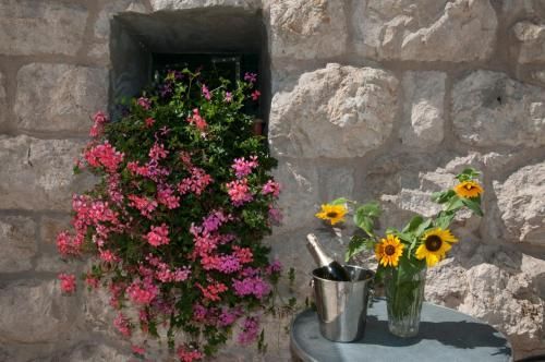 Outdoor Pictures 13