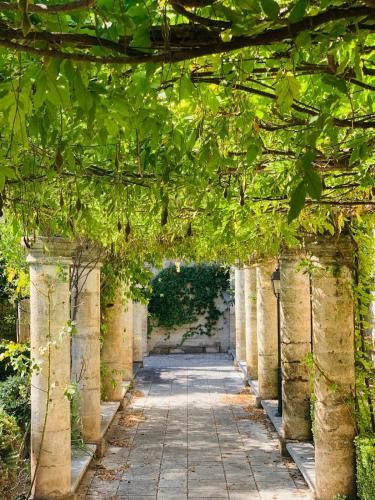 Outdoor Pictures 21
