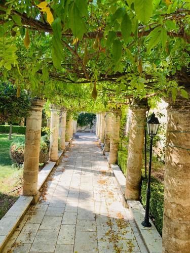 Outdoor Pictures 22