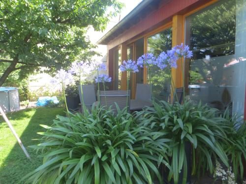 Outdoor Pictures 11