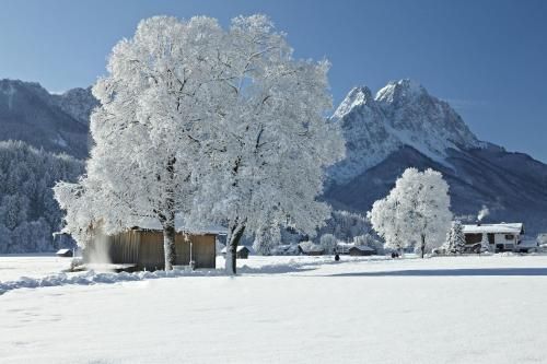 Outdoor Pictures 12