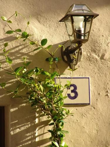 Outdoor Pictures 8