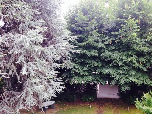 Outdoor Pictures 21