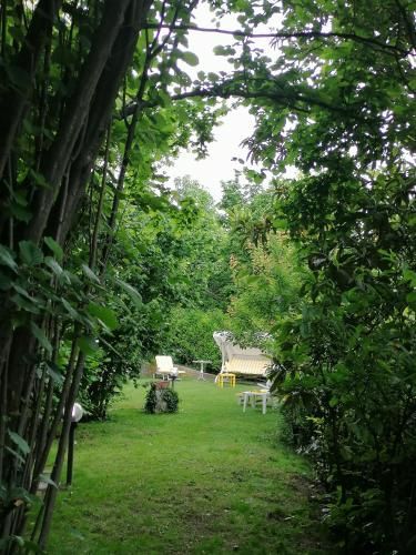 Outdoor Pictures 11
