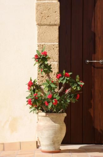 Outdoor Pictures 22