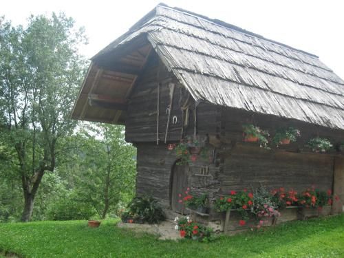 Outdoor Pictures 10