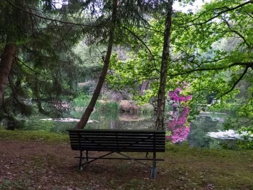 Outdoor Pictures 19