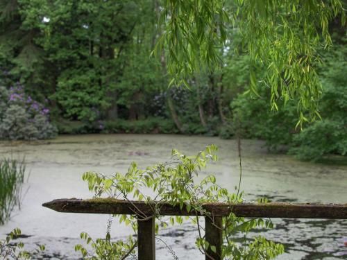 Outdoor Pictures 23