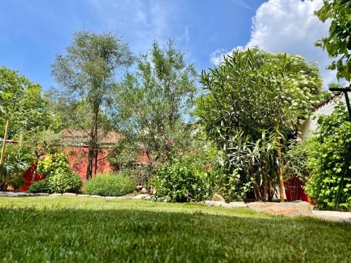 Outdoor Pictures 15