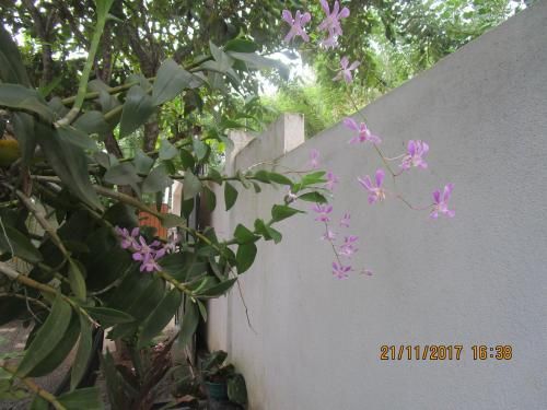 Outdoor Pictures 9