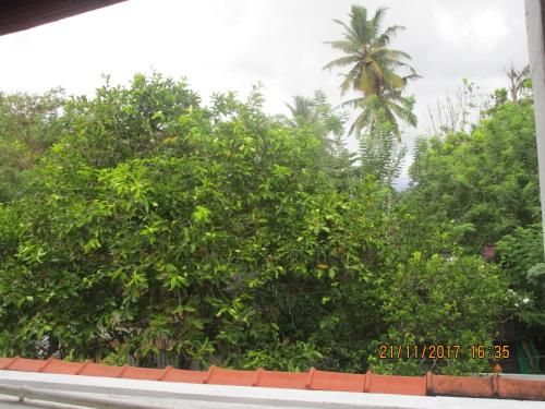 Outdoor Pictures 11