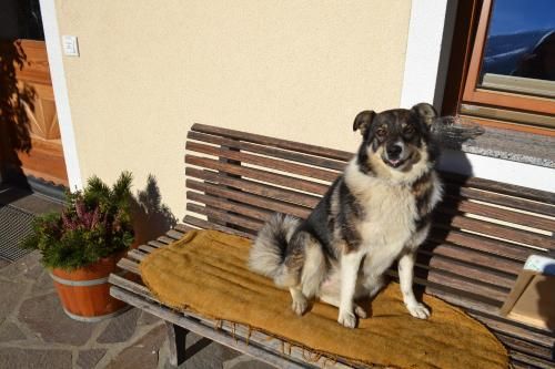 Outdoor Pictures 1