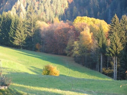 Outdoor Pictures 7