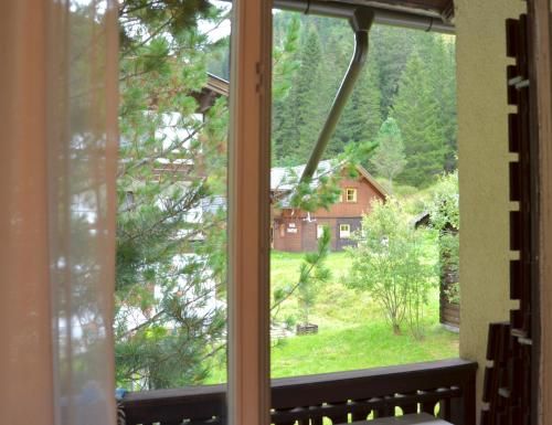 Outdoor Pictures 11