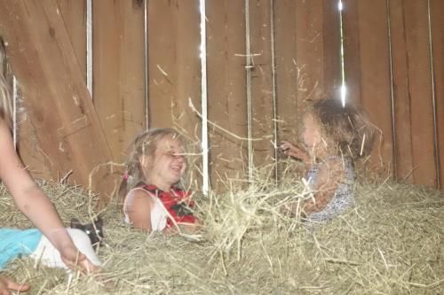 Outdoor Pictures 12