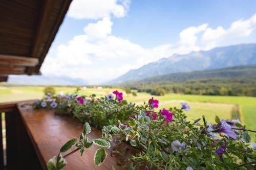 Outdoor Pictures 24