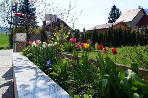 Outdoor Pictures 2