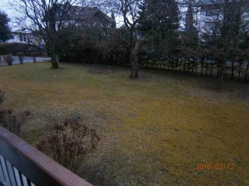 Outdoor Pictures 1