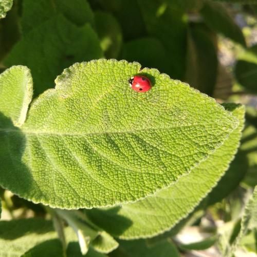 Outdoor Pictures 24