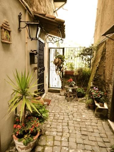 Outdoor Pictures 6