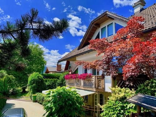 Outdoor Pictures 15