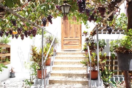 Outdoor Pictures 10