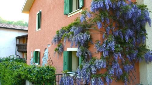 Outdoor Pictures 7