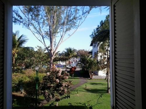 Outdoor Pictures 9