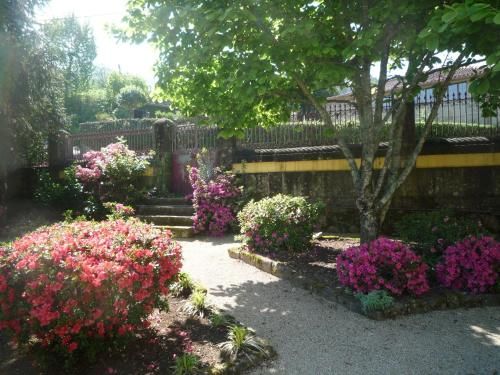 Outdoor Pictures 13