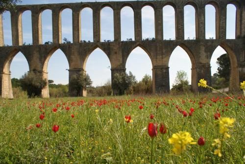 Outdoor Pictures 10