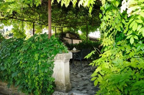 Outdoor Pictures 24