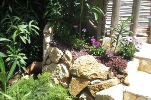 Outdoor Pictures 11