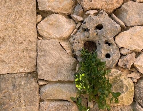 Outdoor Pictures 15