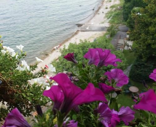 Outdoor Pictures 9