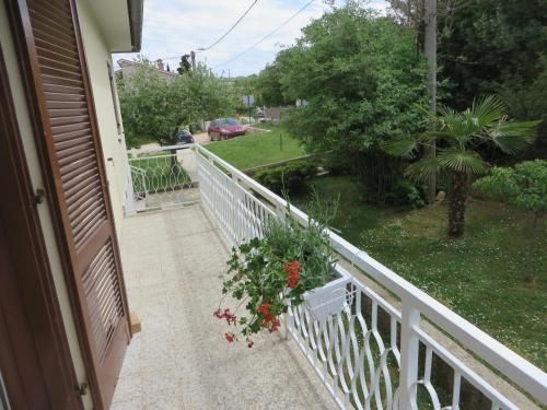 Outdoor Pictures 4