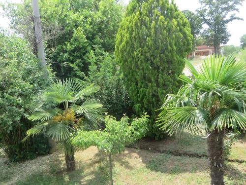 Outdoor Pictures 11