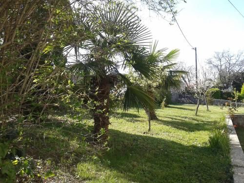 Outdoor Pictures 12