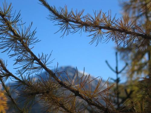 Outdoor Pictures 12