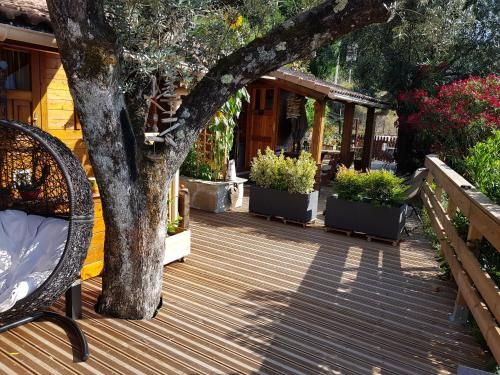 Outdoor Pictures 7