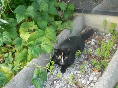 Outdoor Pictures 23