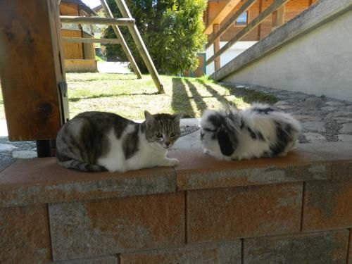 Outdoor Pictures 24