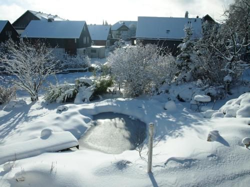Outdoor Pictures 11