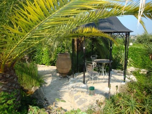Outdoor Pictures 15