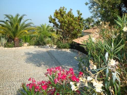 Outdoor Pictures 23